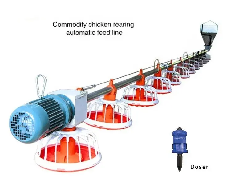 Fully Automated Spiral Screw Angur Feeder  for poultry