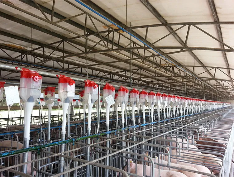 Fully Automated Spiral Screw Angur Feeder  for poultry