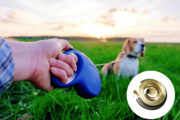 Multiple sizes custom coil spiral spring for pet leash OEM production Multiple sizes custom coil spiral spring for pet leash OEM production