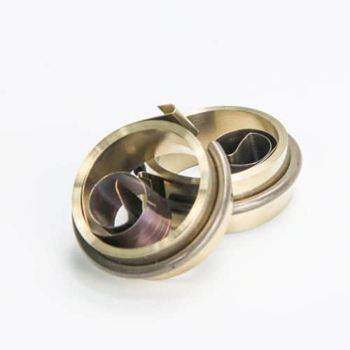 Custom Spiral Spring for Retractable Pet Leash | OEM Recoil Coil Spring